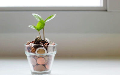 Financial and Future Planning for Your Loved One